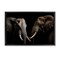 Stupell Industries Pachyderm Elephant Pair Floating Frame, design by Decent Exposures